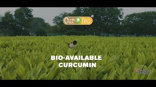 CurQfen ®  Beyond Bioavailability  Bio available curcumin [upl. by Luapleahcim]