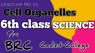 6th class science chapter 01  cell organelle  for BRC and cadet colleges [upl. by Eima]