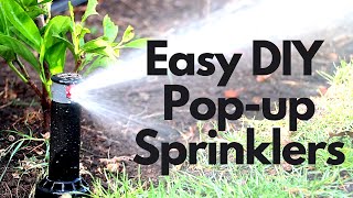 How to Install Pop Up Sprinklers in Your Lawn [upl. by Eiramanit204]