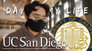 Day in my Life at University of California UC San Diego [upl. by Learsi]