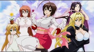 Sekirei season 3 update coming very soon [upl. by Enitnelav]