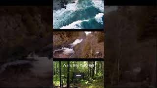 Inshot Multi Layer Video Short Preview tutorial inshotapp inshot [upl. by Dimitry]