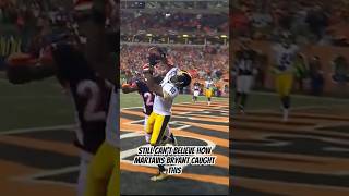 Still can’t believe how Martavis Bryant caught this pass from Roethlisberger [upl. by Broddy419]