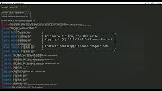 PentestBox GoLismero Tutorial [upl. by Ellon]