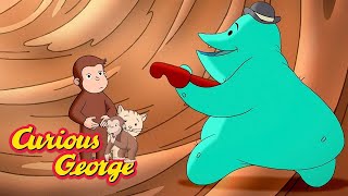 George Doesnt Feel So Well 🐵 Curious George 🐵 Kids Cartoon 🐵 Kids Movies [upl. by Allemrac]