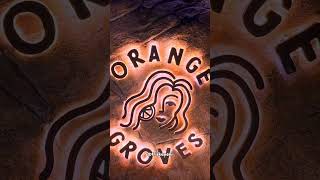 ORANGE GROVE PIK 2 [upl. by Xavler]