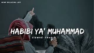 Habibi Ya Muhammad✨ slowed reverb Beautiful Nasheed Naat l Lofi Version l Mind Relaxing Naat [upl. by Ardnuas945]