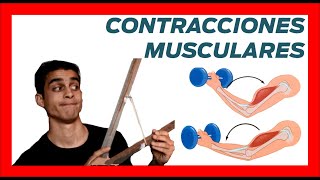 💪 Tipos CONTRACCIONES MUSCULARES ❗❗ Ejemplos concentricas y excentricas [upl. by Arahsit964]