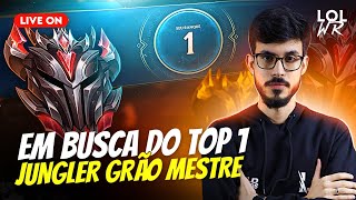 🔷TOP 30 DO SERVIDOR🔷 JG CHALLENGER 🔷 camp tierlist site live pix 🔷 ​​LoL Wild Rift [upl. by Enelia524]