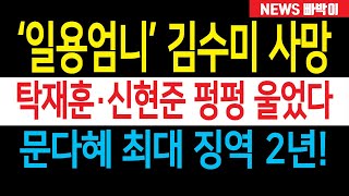 속보 일용엄니 김수미 사망 양아들 탁재훈·신현준 펑펑 울었다  문재인 딸 문다혜 불법 오피스텔 영업 들통 최대 징역 2년이라는데 [upl. by Gilda]