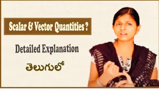 What Are Scalar amp Vector Quantities In Telugu  Deeksha Academy  APPSC  TSPSC  UPSC  Civils [upl. by Gussie]