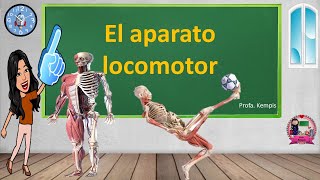 Aparato locomotor [upl. by Annaicul]