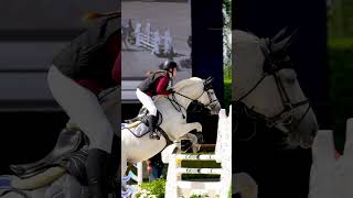 Spectacular Slow Motion Jump Helite Riders Graceful Horse Show Performance 😍😍 [upl. by Elbon]