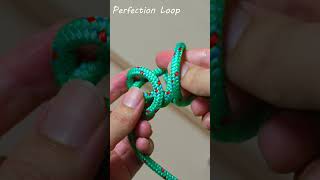 The Perfection Loop Your OneStop Knot for Seamless Fly Fishing Connections [upl. by Annotahs]