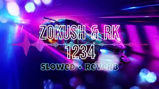 Zokush 1234 Slowed  Reverb [upl. by Kcirrag447]