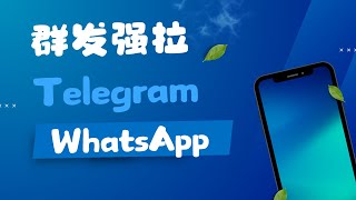 群发强拉，Telegram，WhatsApp ，Line，Instagram聚合工具，包含多个功能 [upl. by Akiemahs116]