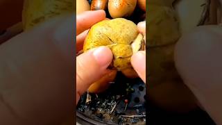 Why Do Chinese People Eat Fertilized Eggs [upl. by Ahsiekar]