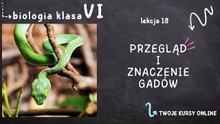 Biologia klasa 6 Lekcja 18  Przegląd i znaczenie gadów [upl. by Eltotsira190]