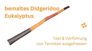 bemaltes Eukalyptus Didgeridoo  von Termiten ausgefressen  Klänge amp Details  für Fortgeschrittene [upl. by Ahar]