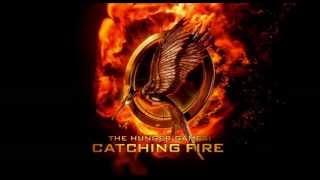 Hunger Games Audio Book Excerpt  Rues Death from Katniss Everdeen First hand experience [upl. by Felske242]