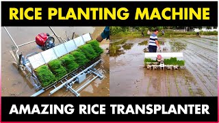 Rice Planting Machine  Paddy Transplanter Machine [upl. by Neelram]