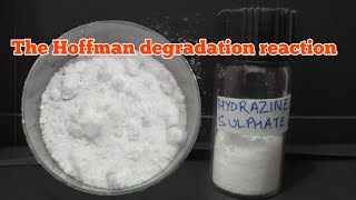 Making Hydrazine Sulphate from Urea via Hoffmann degradation reaction [upl. by Dyann152]