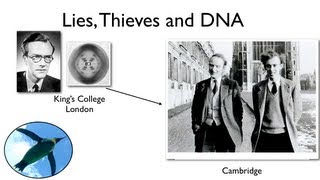 Lies Thieves and DNA [upl. by Ciryl]