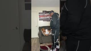 Slapping My Girlfriend With A Glizzy While She Asleep 🤣🤣 funny comedy couples [upl. by Torp]