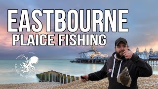 Plaice fishing in Eastbourne  uk beach fishing in February with gavmanshorerigs2778 [upl. by Yracaz]