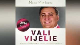 VALI VIJELIE  E bine bine hit 2014 [upl. by Donni836]