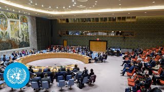 Ukraine Emergency Security Council Meeting full  United Nations [upl. by Nacul]