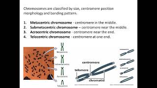 07 Cytotaxonomy [upl. by Mcquade]