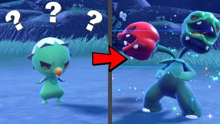 How to find Capsakid and Evolve it into Scovillain in Pokemon Scarlet amp Violet [upl. by Trude145]