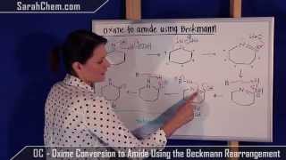 Beckmann Rearrangement  Oxime Conversion to Amide Mechanism [upl. by Camey358]