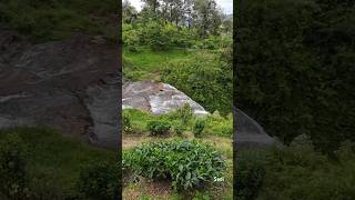 Top view of Dunsinane waterfall  Pundaluoya 🏞️ nature travel asiancountry nuwaraeliya [upl. by Yasu]