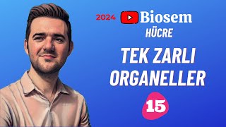 Tek Zarlı Organeller  39 Günde TYT Biyoloji Kampı15  9Sınıf Biyoloji Kampı15  2024 [upl. by Engedi632]