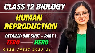 Human Reproduction  Class 12 Biology Chapter 2  Detailed One Shot Part 1  CBSE  NEET 2025 [upl. by Liana129]