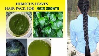 Hair Growth With Hibiscus Leaves amp Stop Hair Loss hairgrowth 2024 [upl. by Emiatej201]