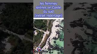 les femmes sirènes en Corée du sud extrait reportage [upl. by Kcarb889]