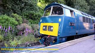 Some more views from the KWVR Summer Diesel Gala 2024 part 3 [upl. by Leihcey47]