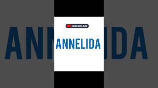 ANNELIDA [upl. by Nash]