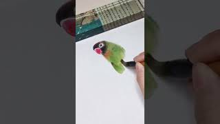 Blackfaced Lovebird art drawing howtodraw creative shorts [upl. by Gianni]