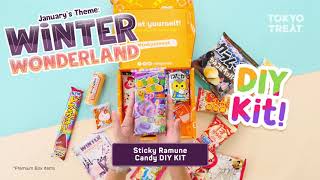 TokyoTreat January 2019 Japanese Candy Box Unboxing [upl. by Yelahc188]