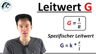 Elektrischer Leitwert amp Spezifischer Leitwert  Elektrotechnik [upl. by Isabea]