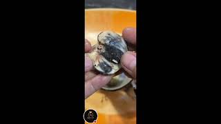 Street Food in the Philippines Eating Duck Egg balut [upl. by Ihel]