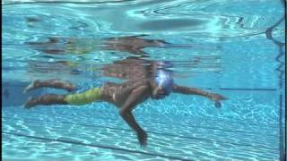 How To Swim Freestyle by Shinji Takeuchi  Acceleration [upl. by Nnylannej]