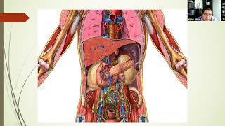 ANATOMIA QUIRURGICA DEL DUODENO Y PANCREAS  MR ANIBAL PINCHI DR JORGE MOSCOL G [upl. by Jeth]