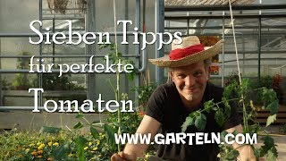 Tomaten pflanzen  Sieben Tipps für perfekte Tomaten 🍅 in eurem Garten und auf dem Balkon [upl. by Glimp]