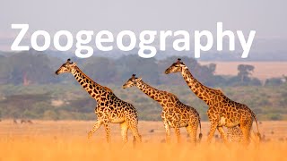 Zoogeography [upl. by Yntruoc]