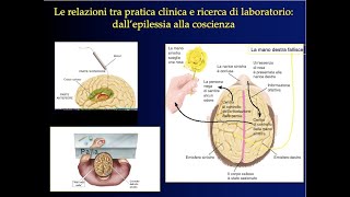 Introduzione alla Psicobiologia e Psicologia Fisiologica 3 [upl. by Rebba]